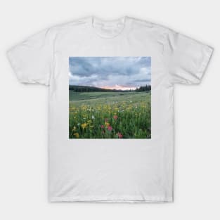 Wildflowers in the breeze II T-Shirt